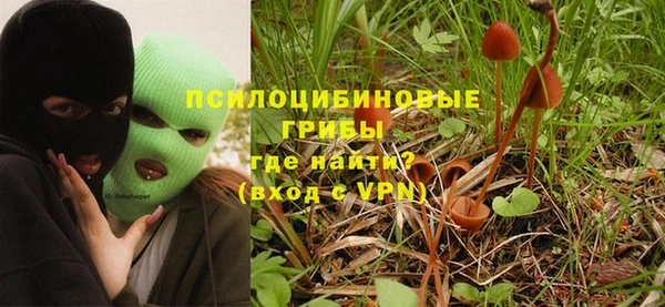 соль курить ск Белокуриха