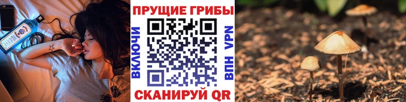 Галлюциногенные грибы мухоморы  кракен как войти  Кореновск  где найти наркотики 